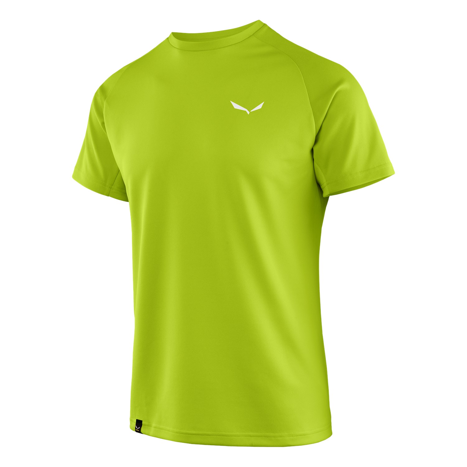 Salewa Sporty B 3 Dry Erkek T-Shirts Yeşil Türkiye 769420STI
